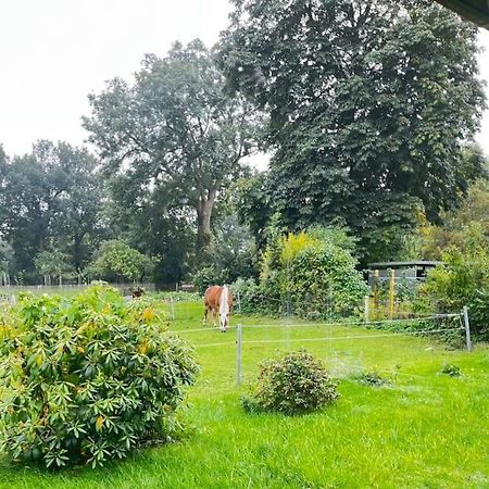 Nindorf  Urlaub In Unserem „Kleinen Haus“ מראה חיצוני תמונה